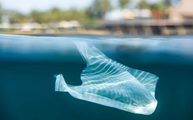 Picture of a plastic bag floating in the water