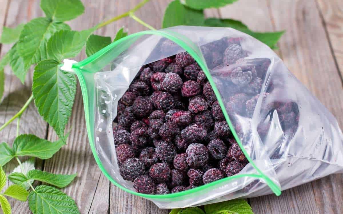 Picture of a Ziploc plastic bag filed with berries beside a vine on a wooden surface