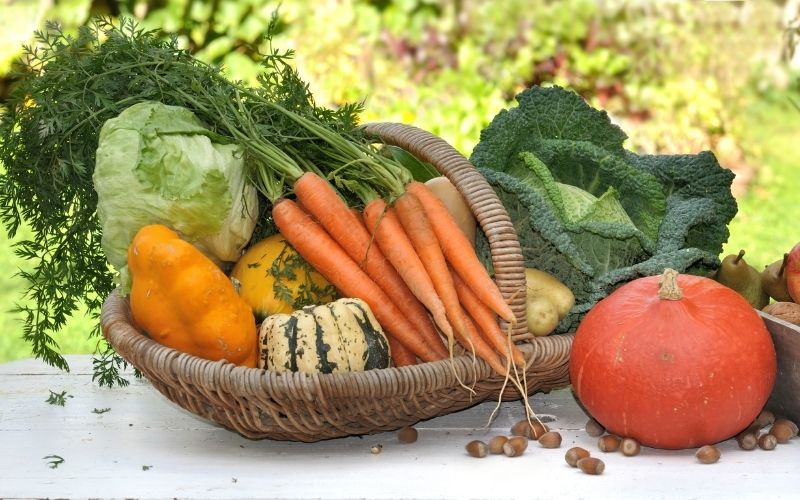 Photo of many different kinds of seasoned vegetables in a basket