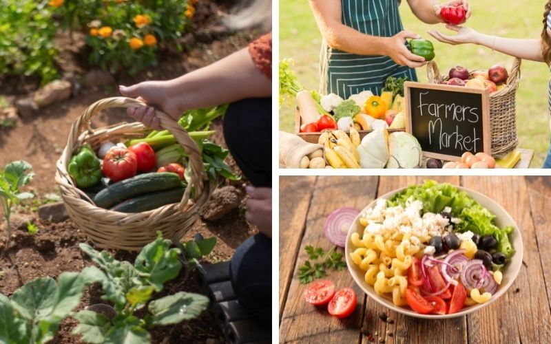 Image of a person picking vegetables in garden, a persong buying form farmers market, and a bowl of vegetarian meal