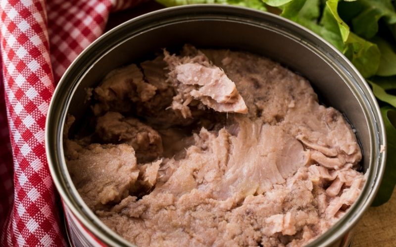 Photo of a canned tuna