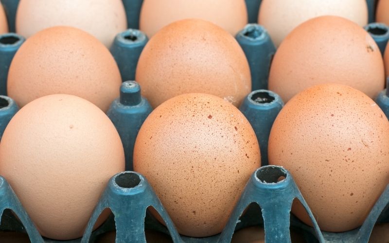 Photo of brown eggs in a plastic egg tray