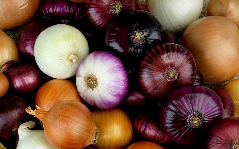 Photo of different types of onions