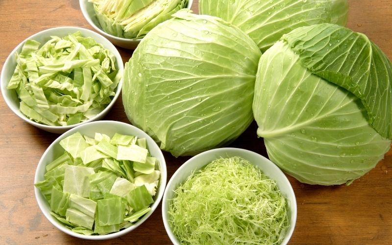 Photo of several heads of cabbages and sliced cabbage in different sizes in white bowls