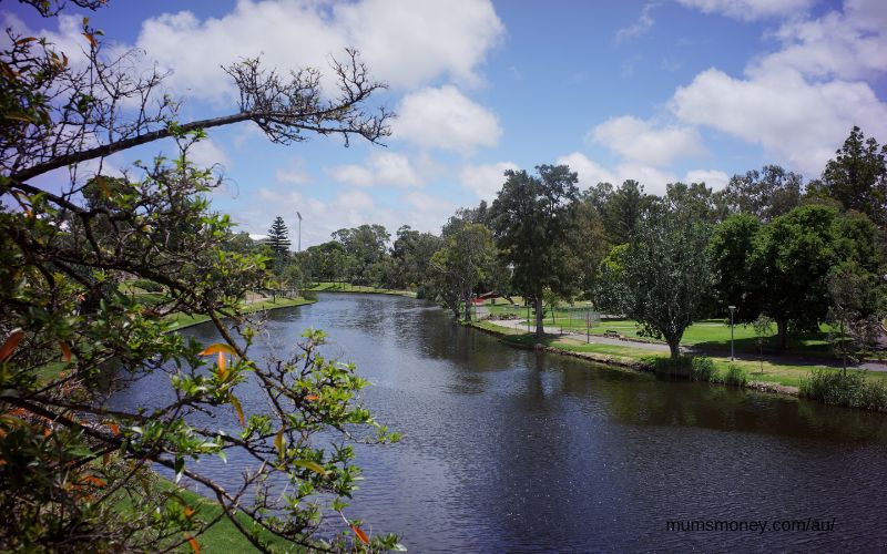 Trees beside a river in the Adelaide Botanic Gardens