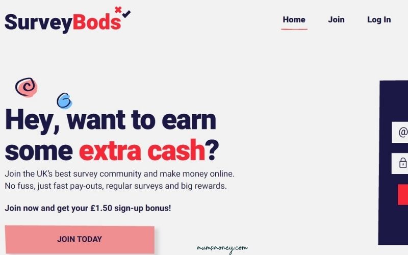 surveybods uk home page