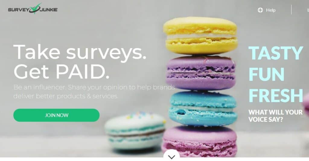 Screenshot of Survey Junkie home screen showing macarons stacked in a pile 4 high. Survey Junkie is a website that offers online focus groups and paid surveys