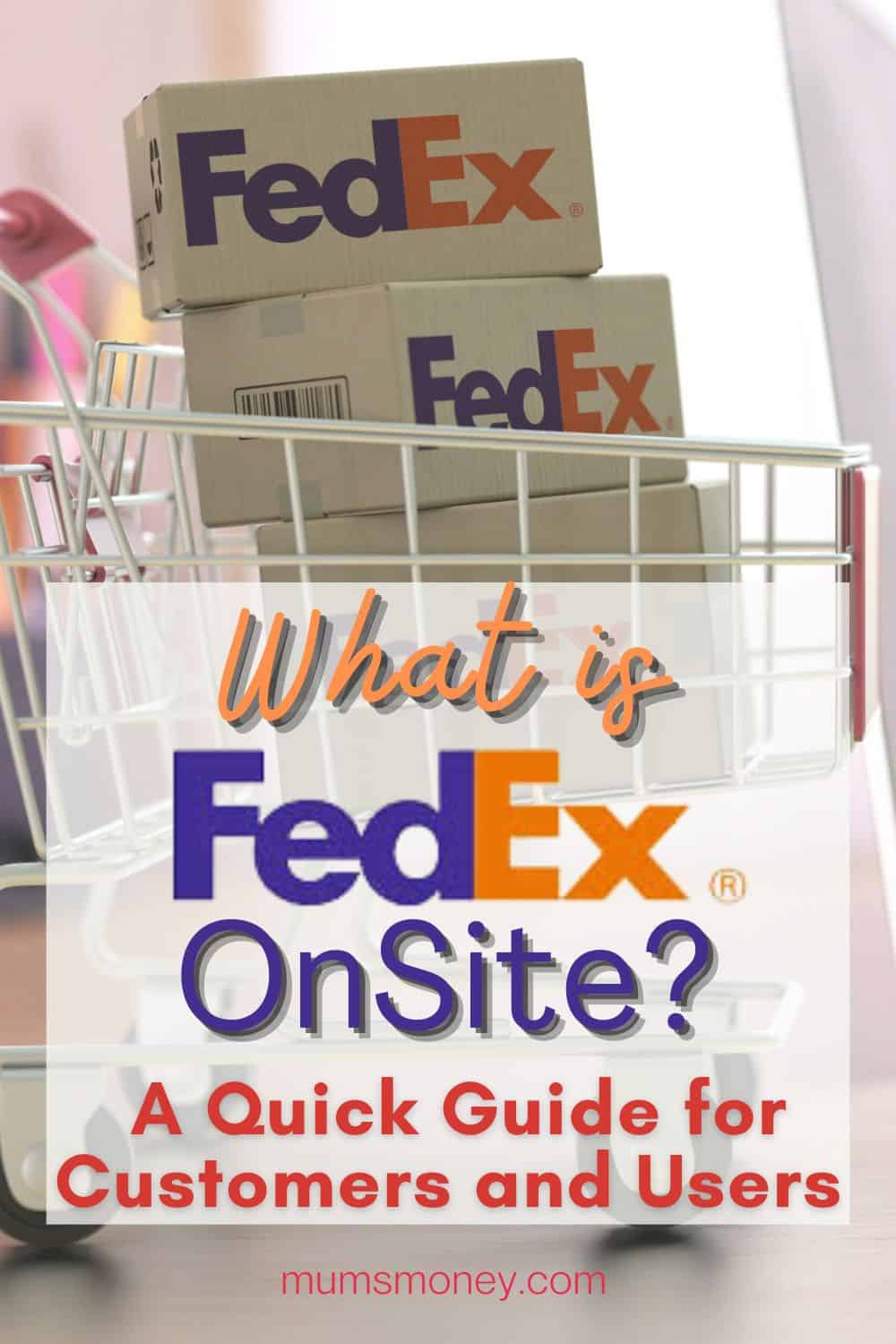 What is FedEx OnSite Pin Image