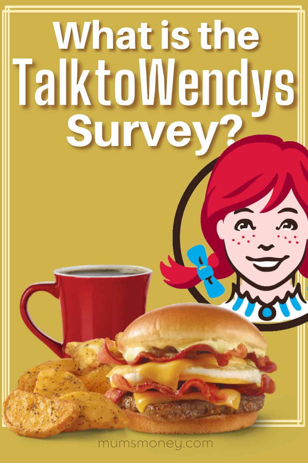 What is the TalktoWendys Survey Pin Image