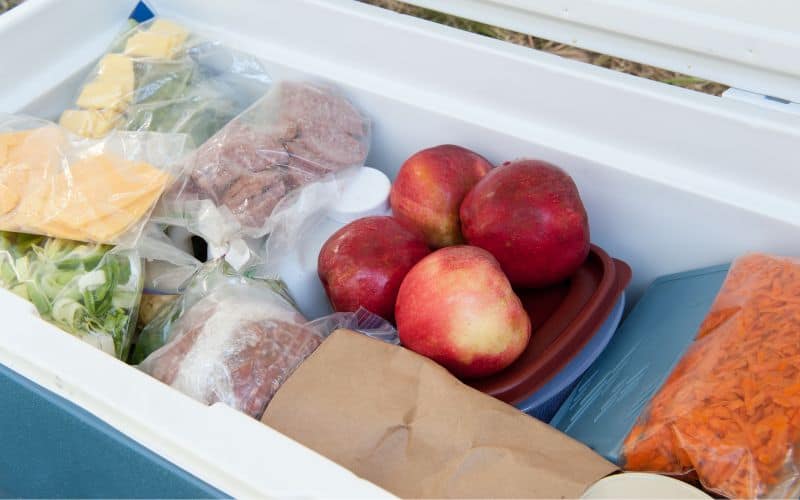 Fruits and meats in cooler